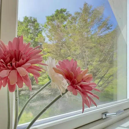 Seaview - * Fredvang